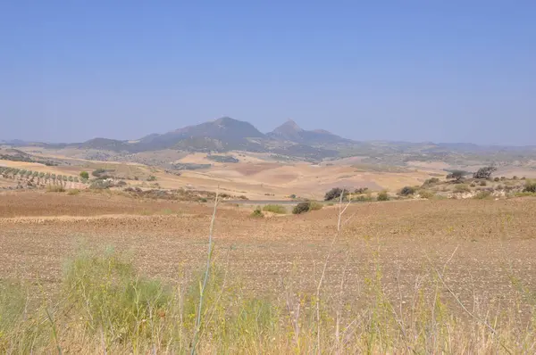 Endülüs, İspanya 'daki Hills manzara panoramik manzarası