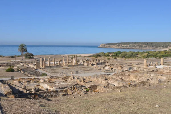 Baelo Claudia Bolonya, İspanya 'daki antik Roma kenti arkeolojik alanı