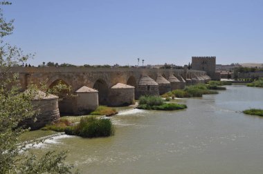 CORDOBA, İSPAN - 22 Ağustos 2023: Puente Romano tercümesi Guadalquivir Nehri üzerindeki Roma Köprüsü