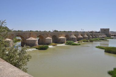 CORDOBA, İSPAN - 22 Ağustos 2023: Puente Romano tercümesi Guadalquivir Nehri üzerindeki Roma Köprüsü