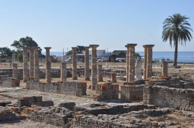 Baelo Claudia Bolonya, İspanya 'daki antik Roma kenti arkeolojik alanı