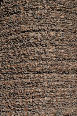 mantar kabuğu ahşap dokusu arka plan olarak kullanışlıdır