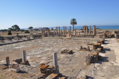 Baelo Claudia Bolonya, İspanya 'daki antik Roma kenti arkeolojik alanı