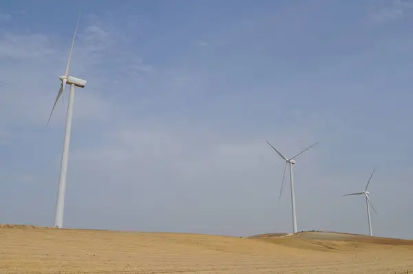 Windturbines Voor Productie Van Elektrische Energie Stockafbeelding