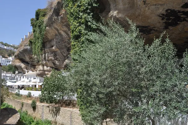 Setenil Las Bodegas Ισπανια Αυγουστου 2023 Σπίτια Κάτω Από Βραχώδεις Φωτογραφία Αρχείου