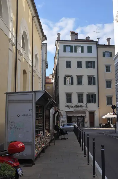 Trieste Olaszország 2023 Március Kilátás Városra Stock Fotó