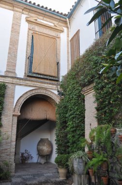 CORDOBA, İSPAN - 22 Ağustos 2023 Palacio de Viana Sarayı