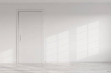 Closed White Door on a White Wall in Empty Room extreme closeup. 3d Rendering 