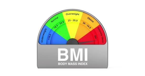 Resolution Video Bmi Body Mass Index Scale Meter Dial Gage — Wideo stockowe