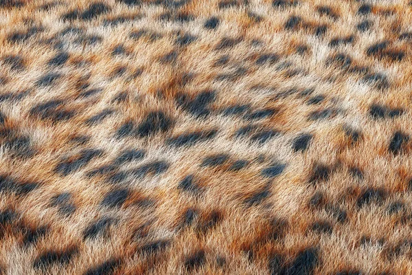 Cheetah Cabelo Pele Extrema Closeup Renderização — Fotografia de Stock