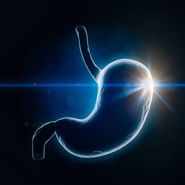 İnsan Mide Anatomisi İç Organ X-Ray görüntüsü siyah arka planda. 3d Hazırlama 