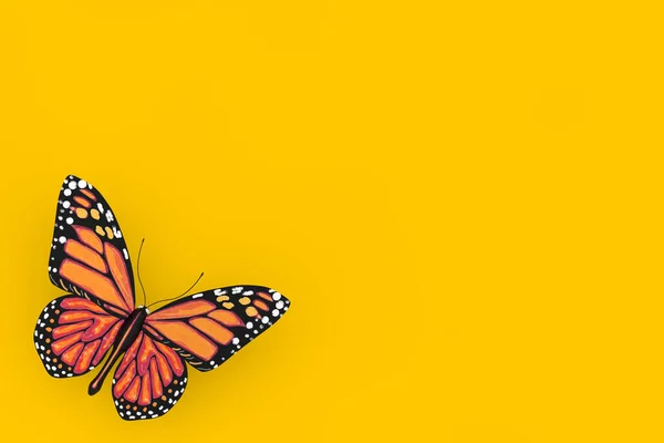 Motyl Żółtych Pomarańczowych Kolorach Skrzydła Żółtym Tle Renderowanie — Zdjęcie stockowe