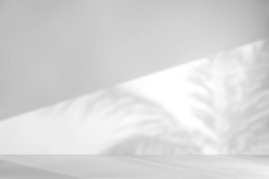 Shadow of Window and Sunlight on Empty Room White Wall and Floor extreme closeup. 3d Rendering