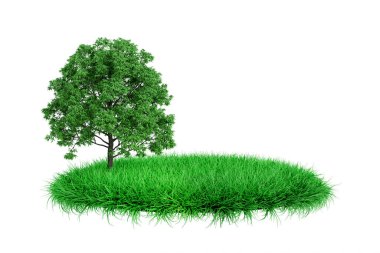 Yeşil Çimen Sahnesi 'ndeki Büyük Yeşil Ağaç beyaz arka planda. 3d Hazırlama