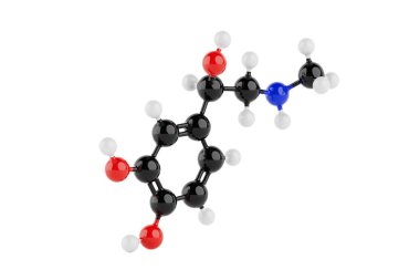 Beyaz arka planda Epinefrine Molekül Kimyasal Formülünün Yapısal Modeli. 3d Hazırlama