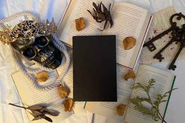 düzlük kitap maketi
