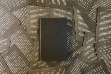 düzlük kitap maketi