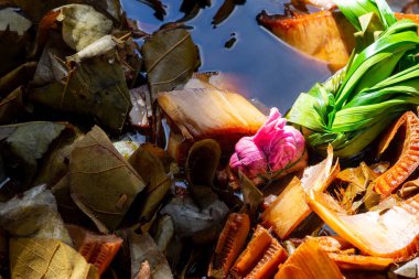 Bahçede plastik ipe asılı doğal renk boya tişörtü, açık hava gün ışığı, Tayland 'da doğal renk boyama atölyesi