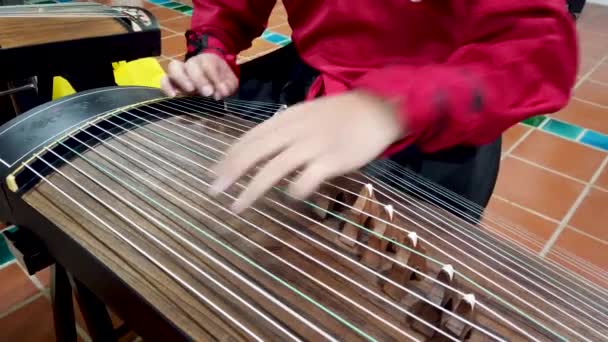Femme Jouant Guzheng Pour Nouvel Chjalá — Vídeos de Stock