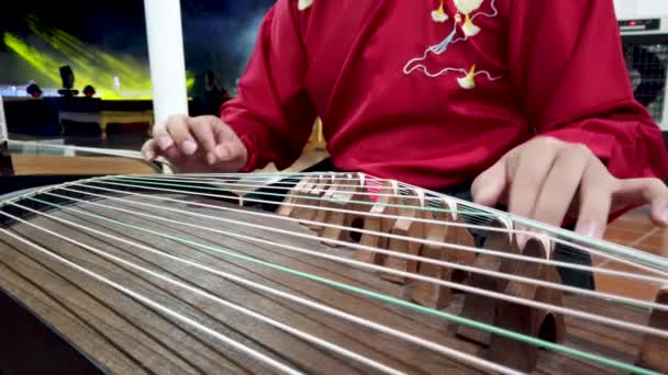 Femme Jouant Guzheng Pour Nouvel Chjalá — Vídeos de Stock