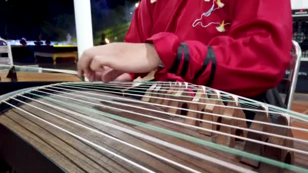 Femme Jouant Guzheng Pour Nouvel Chinois — Video Stock
