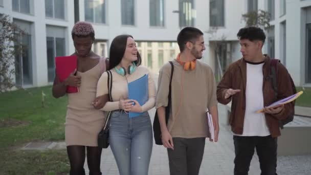 Grupo Estudantes Universitários Passeia Pelo Campus Universitário Falando Sobre Exames — Vídeo de Stock