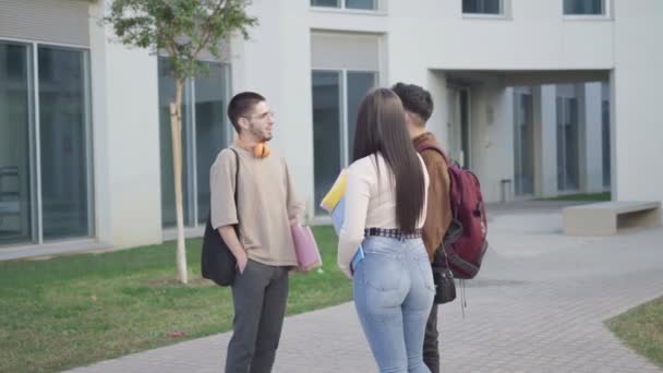 Grupo Estudiantes Universitarios Campus Universitario Hablando Exámenes — Vídeos de Stock