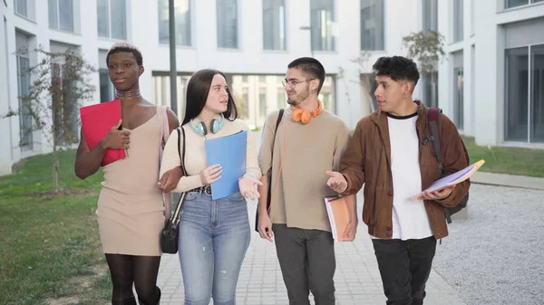 Group of multiracial students with folders wearing casual clothes walking together on street and discussing assignment project