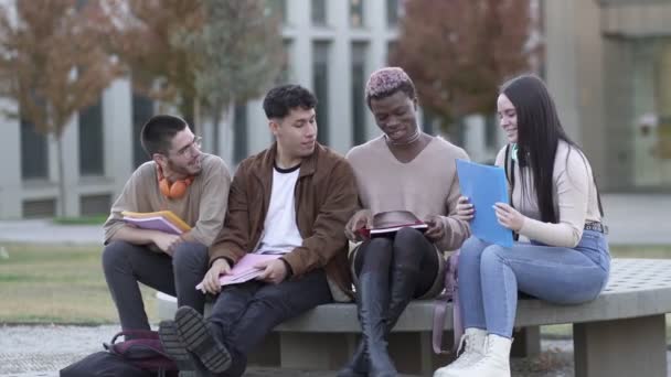 Různorodá Etnická Skupina Těší Campus Reunion Lavičce — Stock video
