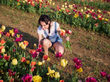 Mutlu kadın işçiler serada çiçekleri buduyor.
