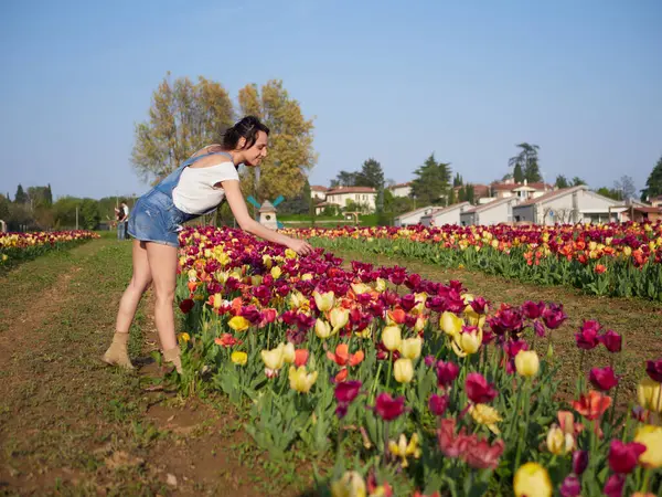 Felices Trabajadoras Recortando Flores Invernadero Imagen De Stock