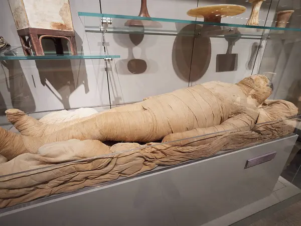 Mısır Müzesi - Torino İtalya