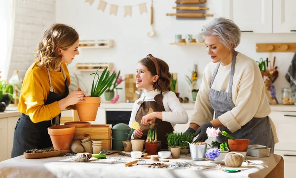 Positive Grandmother Mother Replanting Spring Flowers Pots Children While Gathering — Stock Photo, Image