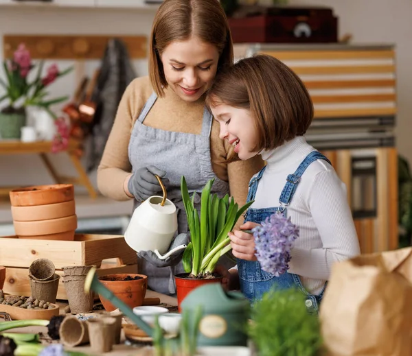 Cheerful mom in casual clothes smiling with kid daughter while watering potted hyacinth together on messy table in light kitchen at home