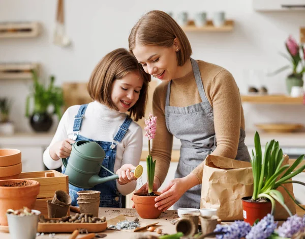 Cheerful mom in casual clothes smiling with kid daughter  transplanting spring flower in pot while sitting together at table in kitchen