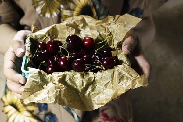 Closeup Hand Woman Holding Basket Fresh Cherry Fruit — Stock Photo, Image