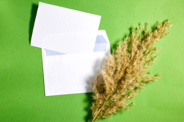 Summer wedding stationery mock-up scene. Blank greeting card with envelope above green background with reed plant. Feminine flat lay