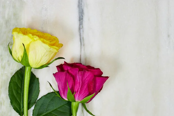 yellow and pink roses flowers on Natural green, beige veins marble texture with copy space