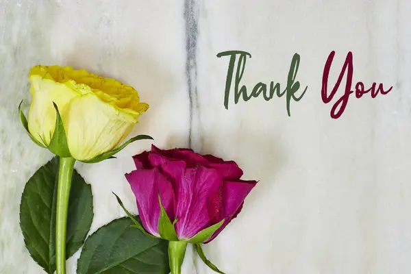 黄色和粉色玫瑰花在天然绿色 米黄色脉大理石质感与谢谢你的卡片 业务信息 表示感谢 承认和赞赏 — 图库照片