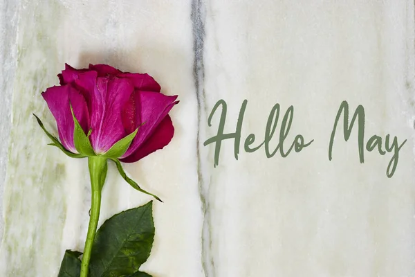 Hello May Hand Leping Card Весенний Цветок Розы Мраморном Фоне — стоковое фото