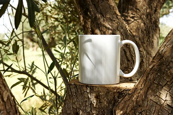 白色的咖啡杯通过橄榄树在树干木上做成了模型 设计推广用的空杯子模型 — 图库照片