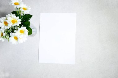 Üzerinde papatya çiçeği vazosu olan broşür için boş kağıt çarşaflar, üst manzara. Model