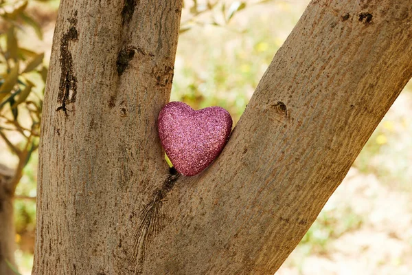pink heart on tree trunk, health care, love, organ donation, mindfulness, wellbeing, family insurance and CSR concept, world heart day, world health day, National Organ Donor Day or valentine\'s day