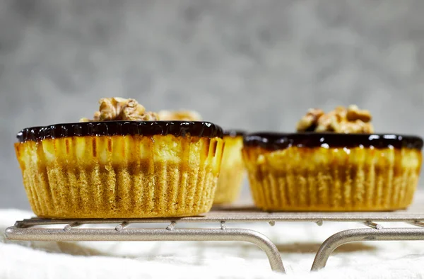 Homemade Delicious Mini Walnut Caramel Cheesecake — Foto Stock