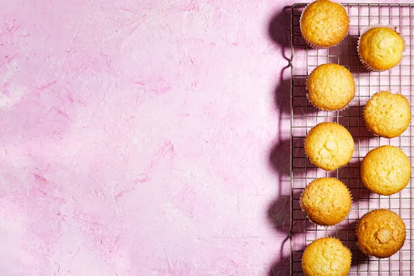 Muffin Alla Vaniglia Caramello Noccioline Tazze Carta Con Canne Pianta — Foto Stock