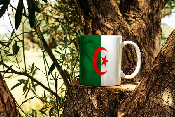 Kahve Fincanının Üzerindeki Cezayir Bayrağı Zeytin Ağacı Gövdesi Podyumu Bağımsızlık — Stok fotoğraf