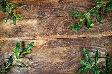 Taze yeşil Ruscus dalları ahşap arka planda fotokopi alanı ile bırakılır