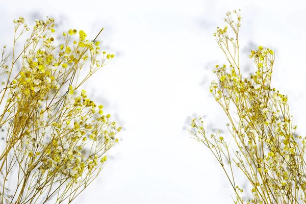 Yellow and white baby\'s breath, gypsophila dry flowers on gray background. flat lay, top view, copy space