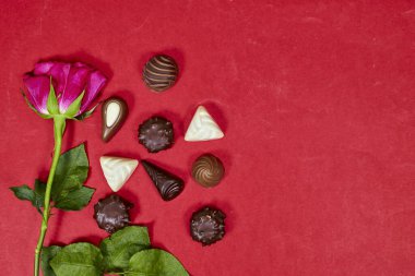 Sevgililer Günü için çeşitli çikolata parçaları. Kırmızı arka planda pembe gül çiçeği var.