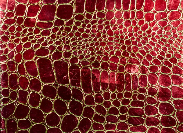 Textured background of genuine leather in lizard skin pattern